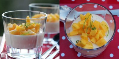 Panna cotta med mangosalat