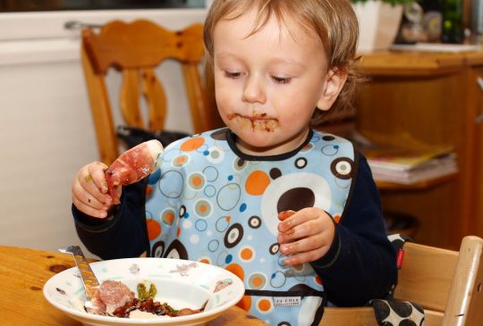 Image: Matvalg 2010 – Mat og barn