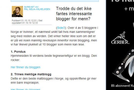 Image: 10 blogger for menn