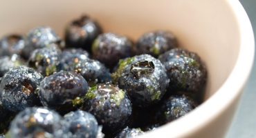 Image: PANNA COTTA MED LIMEMARINERTE BLÅBÆR