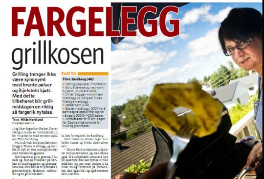 Image: Fargerikt grilltilbehør i Dagbladet