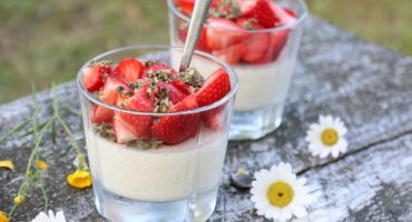 Image: PANNA COTTA MED JORDBÆR OG MYNTEPESTO