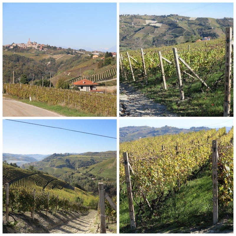 2014-10 Piemonte dag 21