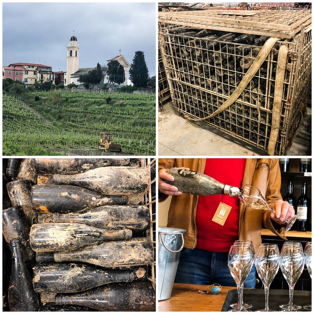 Matreise Liguria - vinsmaking