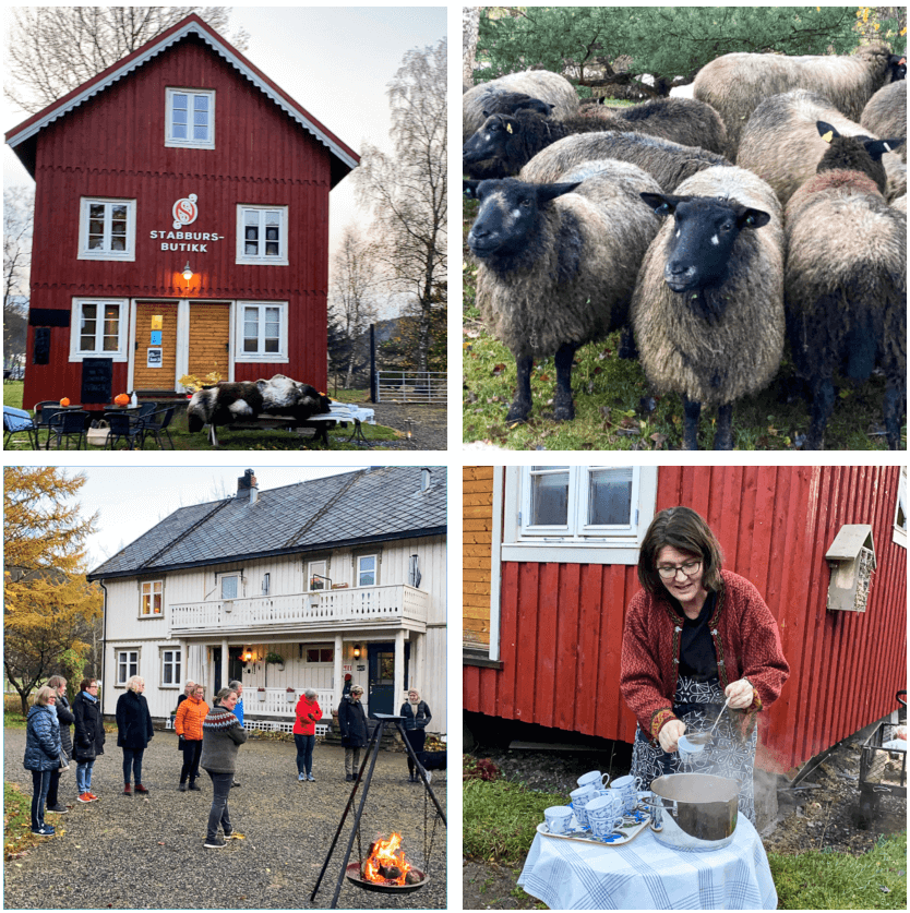 Matreise Trøndelag