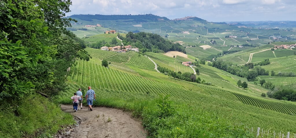 Piemonte Caroline Scøning